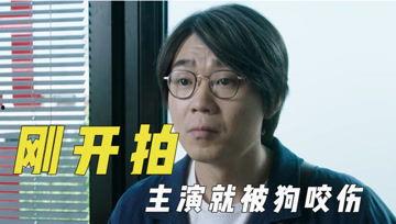 娱乐吃瓜君校长,揭秘娱乐圈背后的那些事儿