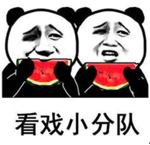 吃瓜表情包回复怎么说好听